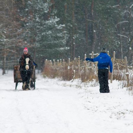 Kolorowe Wzgorze Agroturystyka I Konie Trojanow Экстерьер фото