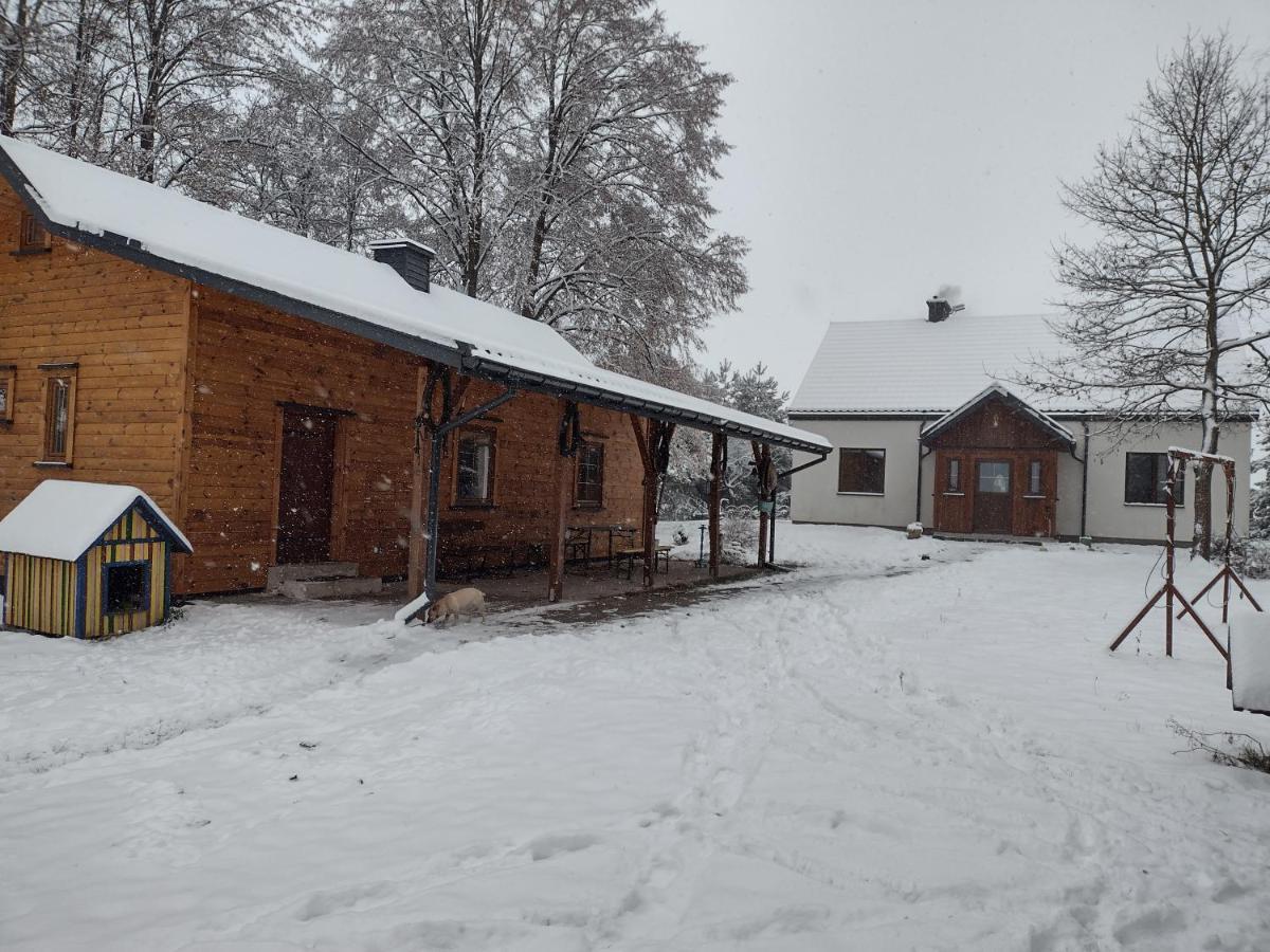 Kolorowe Wzgorze Agroturystyka I Konie Trojanow Экстерьер фото