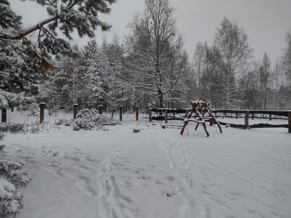 Kolorowe Wzgorze Agroturystyka I Konie Trojanow Экстерьер фото