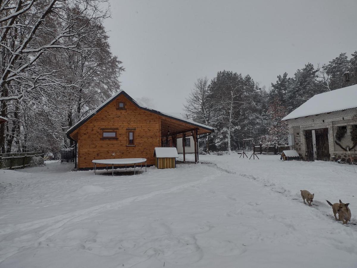 Kolorowe Wzgorze Agroturystyka I Konie Trojanow Экстерьер фото