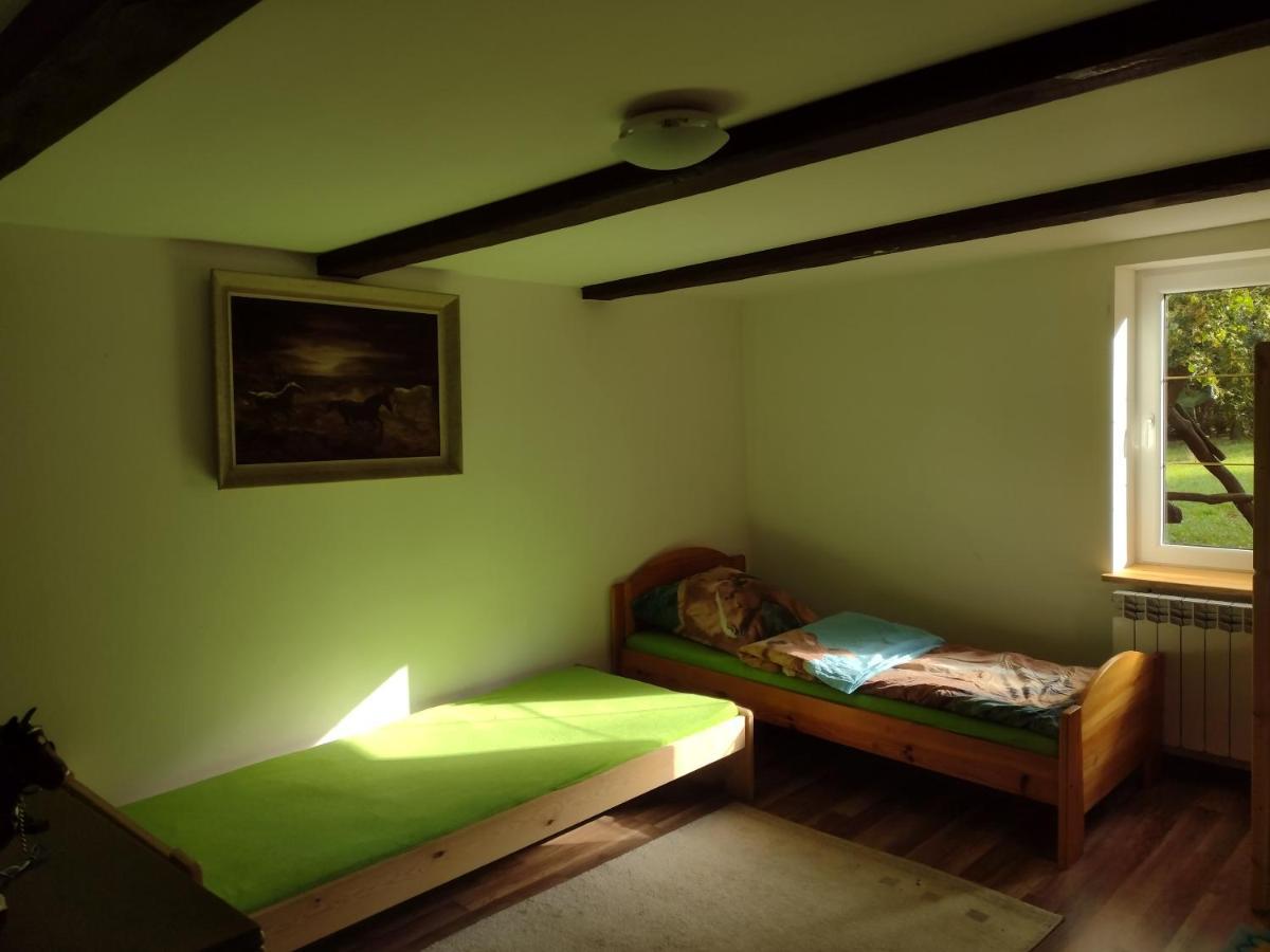 Kolorowe Wzgorze Agroturystyka I Konie Trojanow Экстерьер фото
