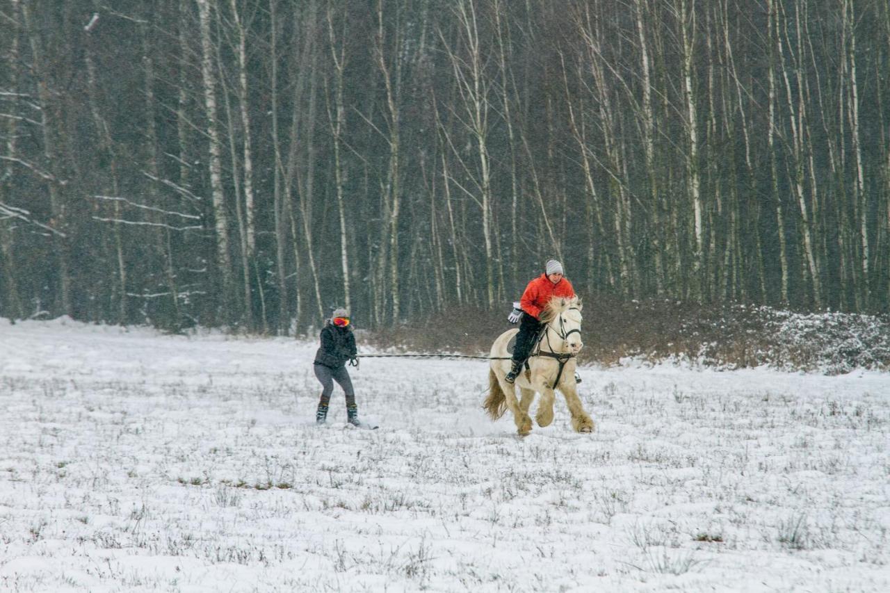 Kolorowe Wzgorze Agroturystyka I Konie Trojanow Экстерьер фото