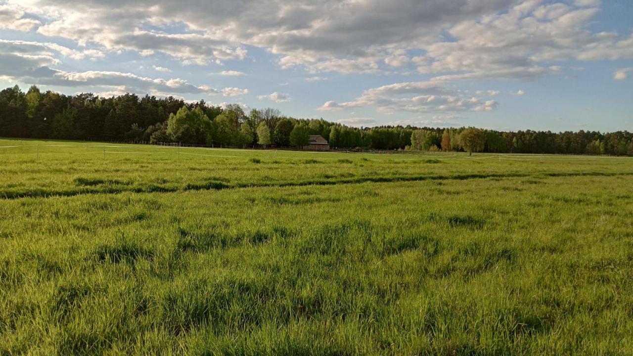 Kolorowe Wzgorze Agroturystyka I Konie Trojanow Экстерьер фото